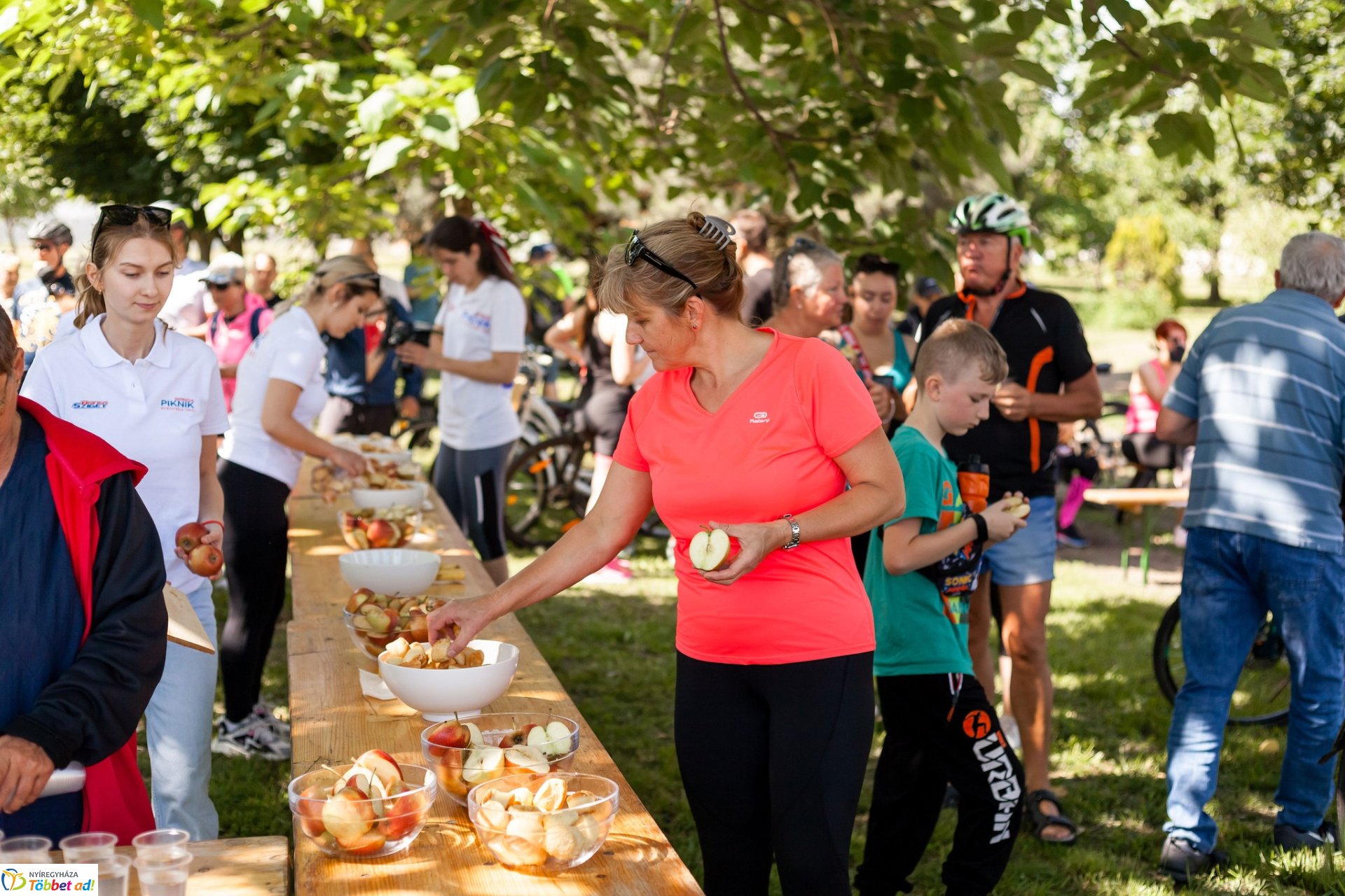 Kilencedik alkalommal tekernek Nyíregyházáról Tokajba