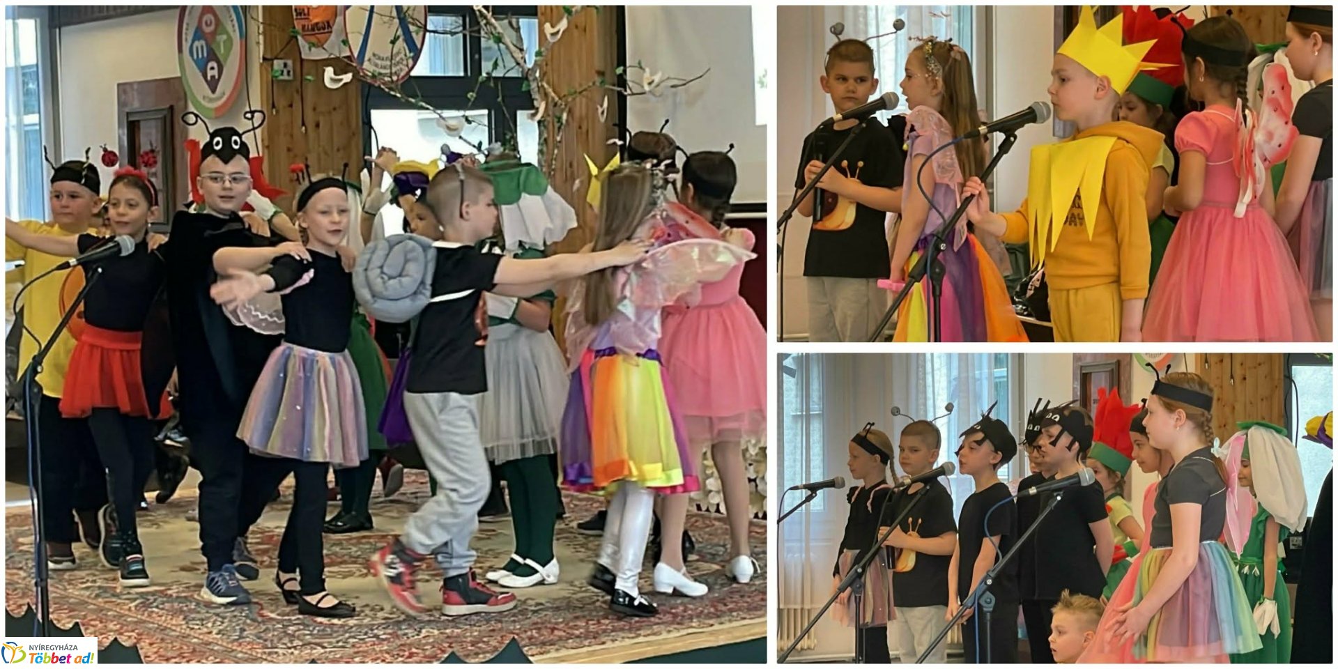 Kilencven diák mérte össze tudását a Cinegekirály versenyen Nyíregyházán