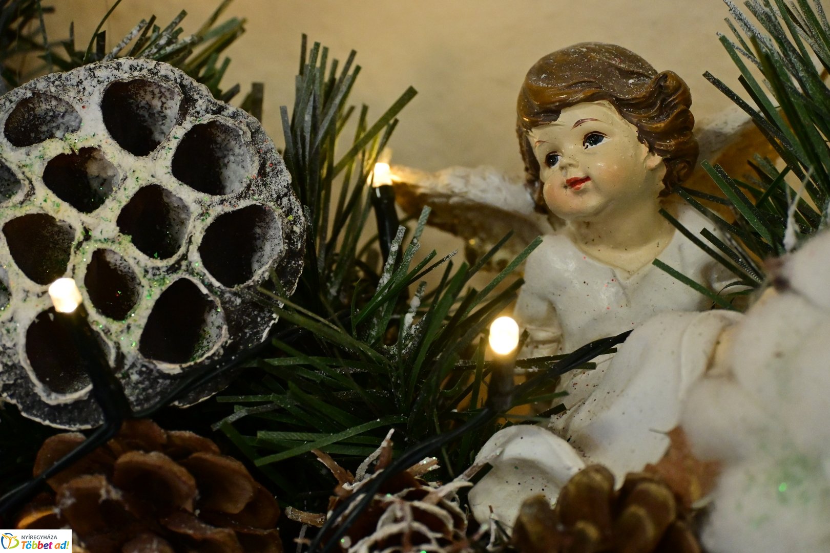 Királyi adomány az időseknek