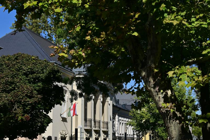 Királyok hősök csaták a Kállayban