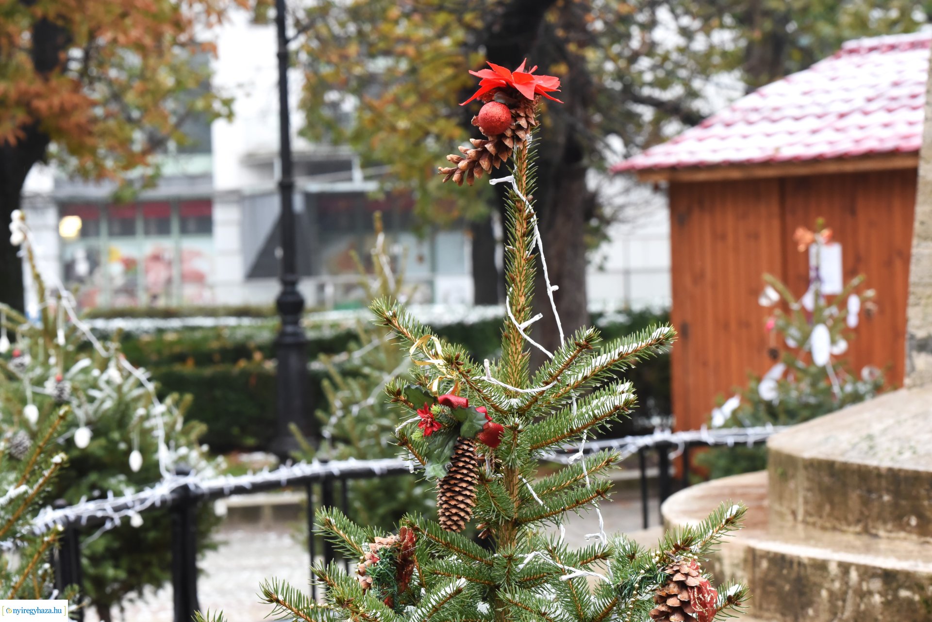 „Kis karácsony sétányt” díszítettek a nyíregyházi óvodások