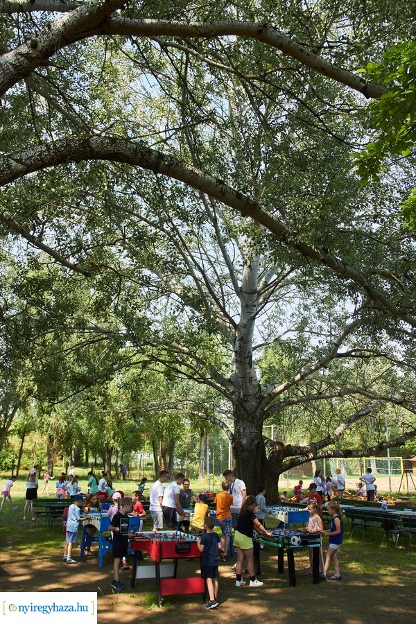 Kis vakond tábor 2023