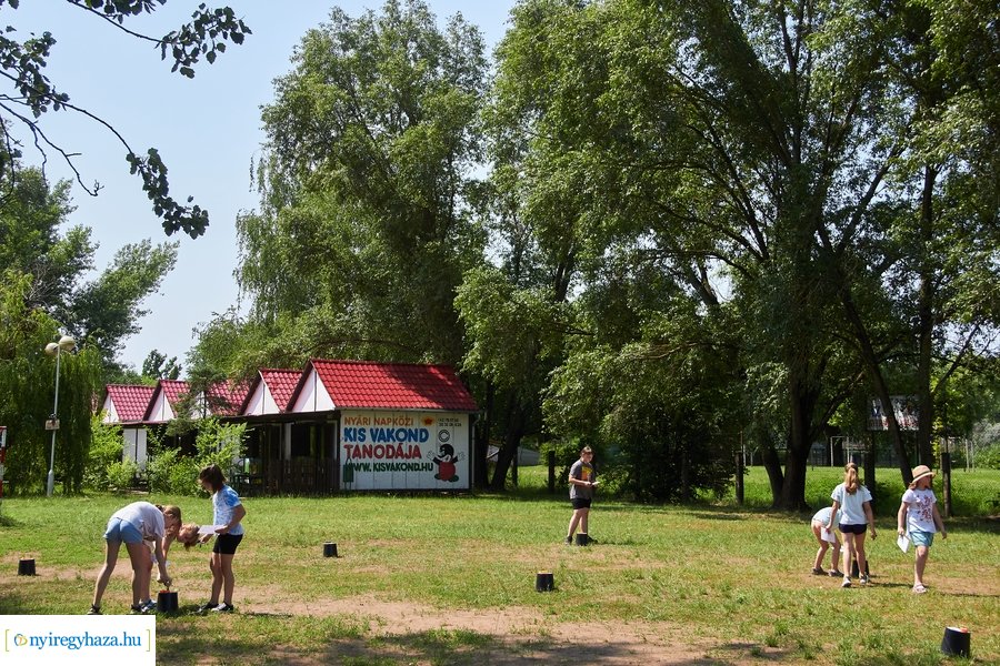 Kis vakond tábor 2023