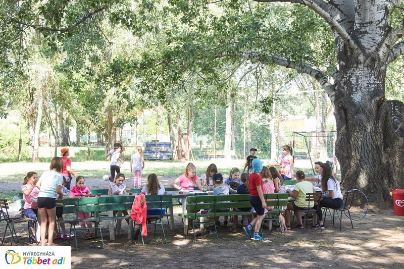 Kis Vakond tábor pillanatai