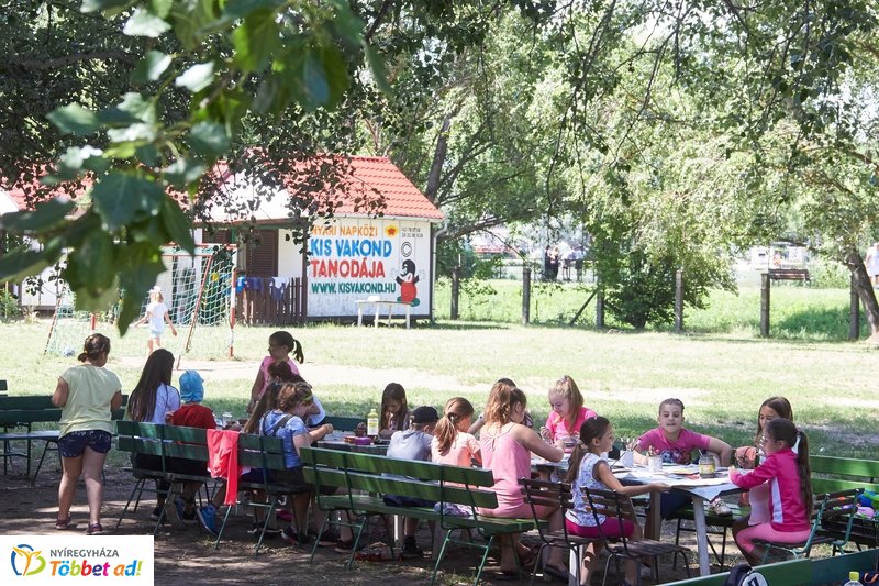 Kis Vakond tábor pillanatai