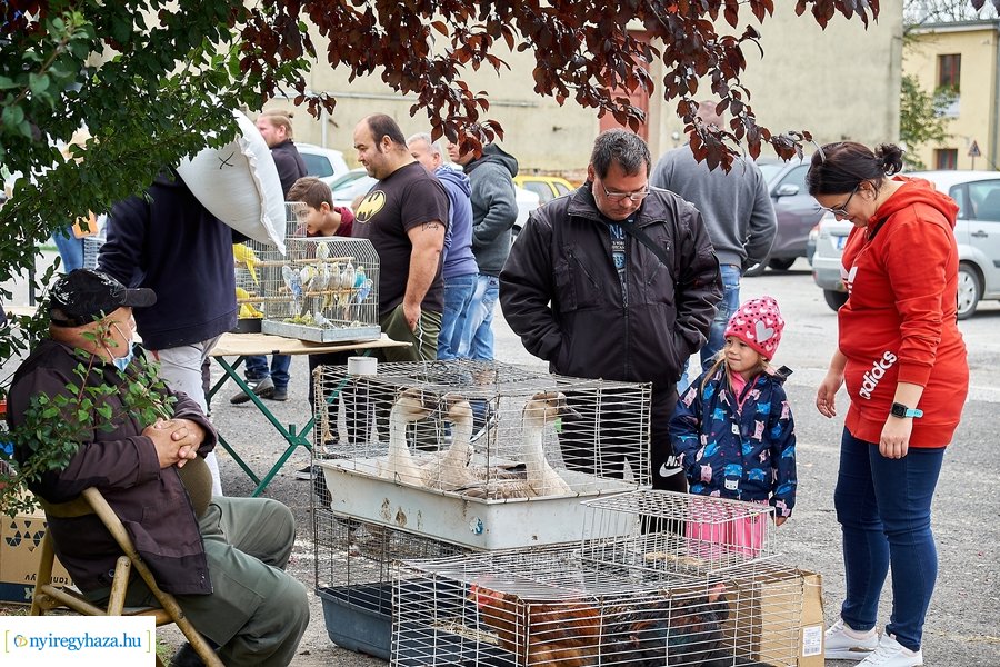 Kisállat börze a Kertvárosban - 20221009