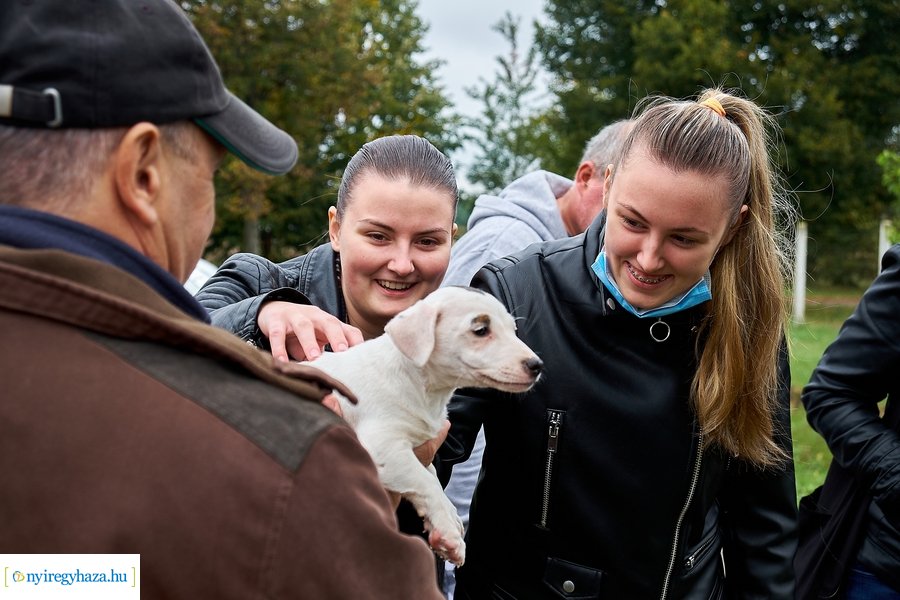 Kisállat börze a Kertvárosban - 20221009