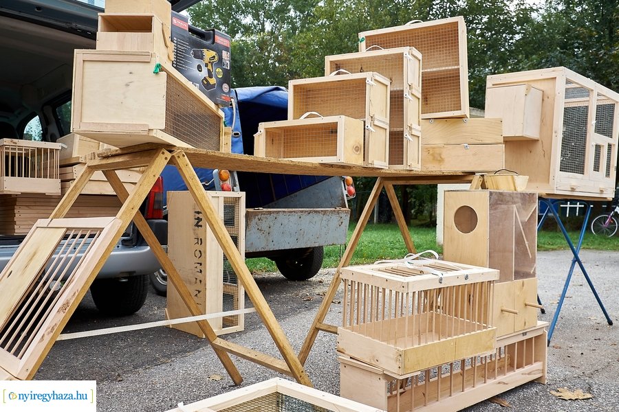 Kisállat börze a Kertvárosban - 20221009