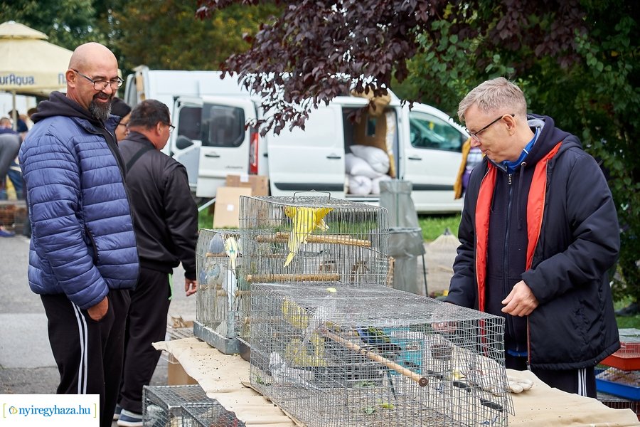 Kisállat börze a Kertvárosban - 20221009