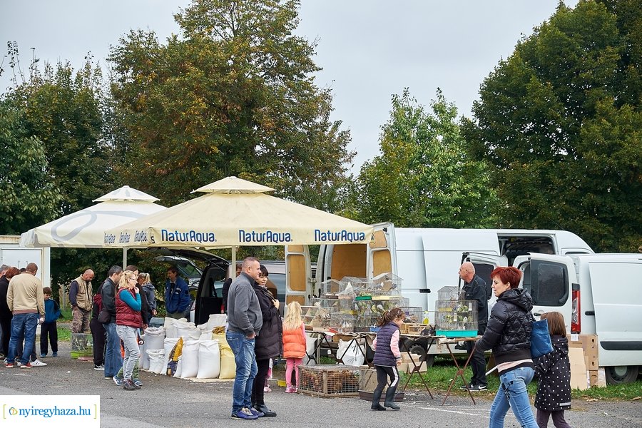 Kisállat börze a Kertvárosban - 20221009