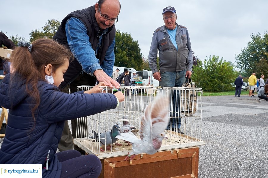 Kisállat börze a Kertvárosban - 20221009