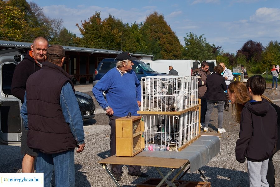 Kisállat börze a Kertvárosban - 20221009