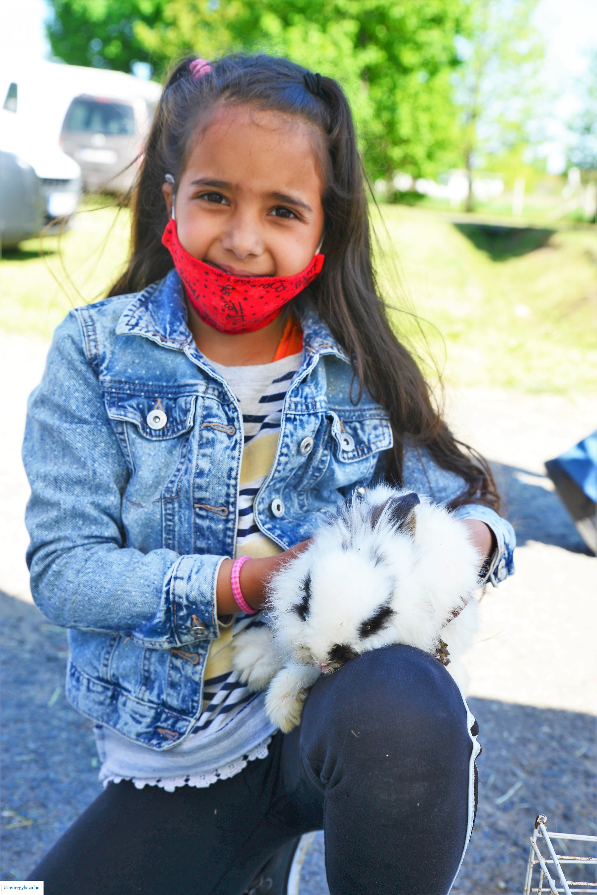 Kisállatbörze a Fokos utcai piacon 2021