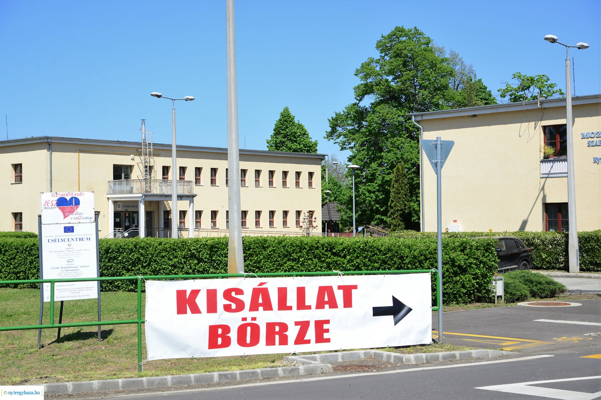 Kisállatbörze a Fokos utcai piacon 2021