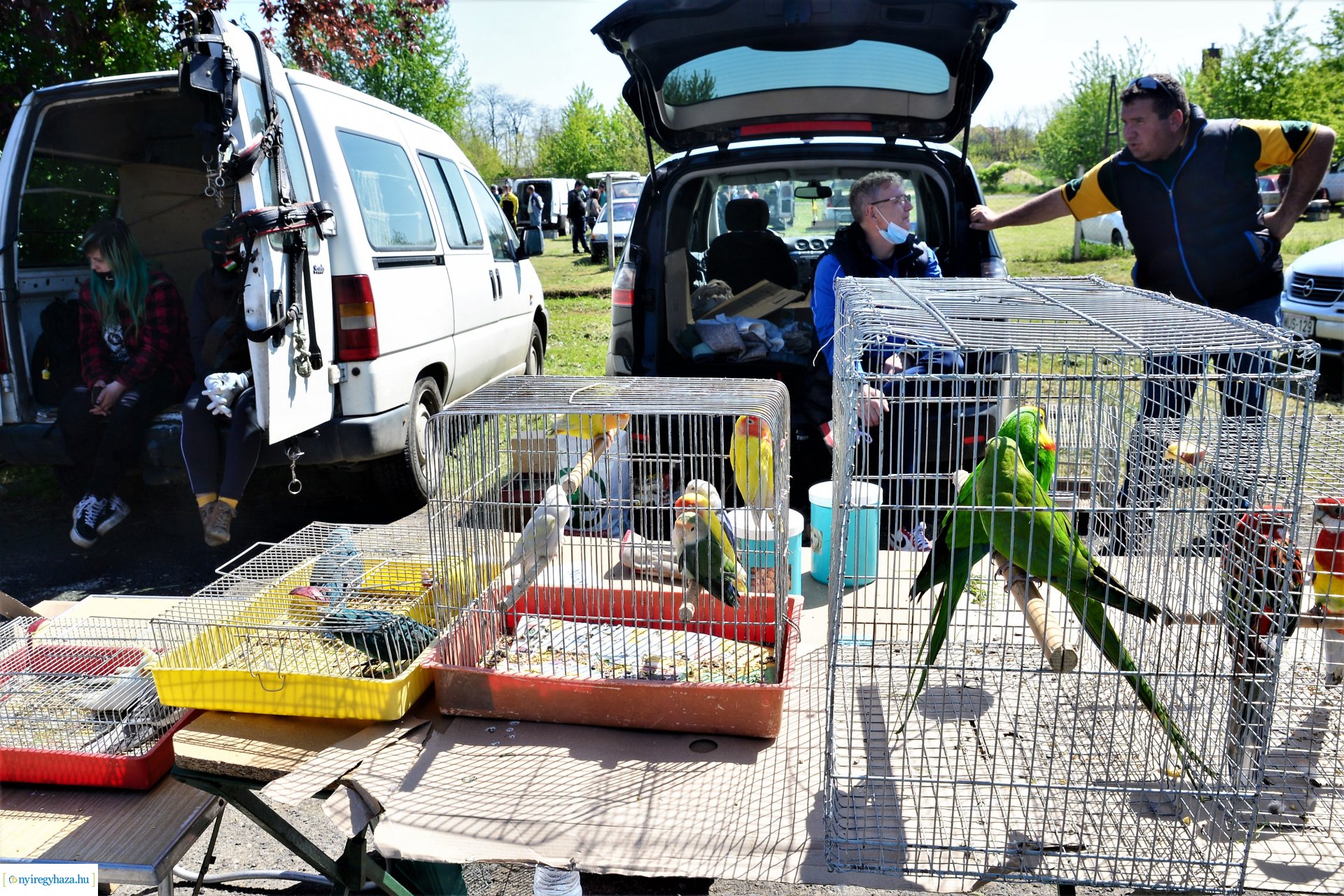 Kisállatbörze a Fokos utcai piacon 2021