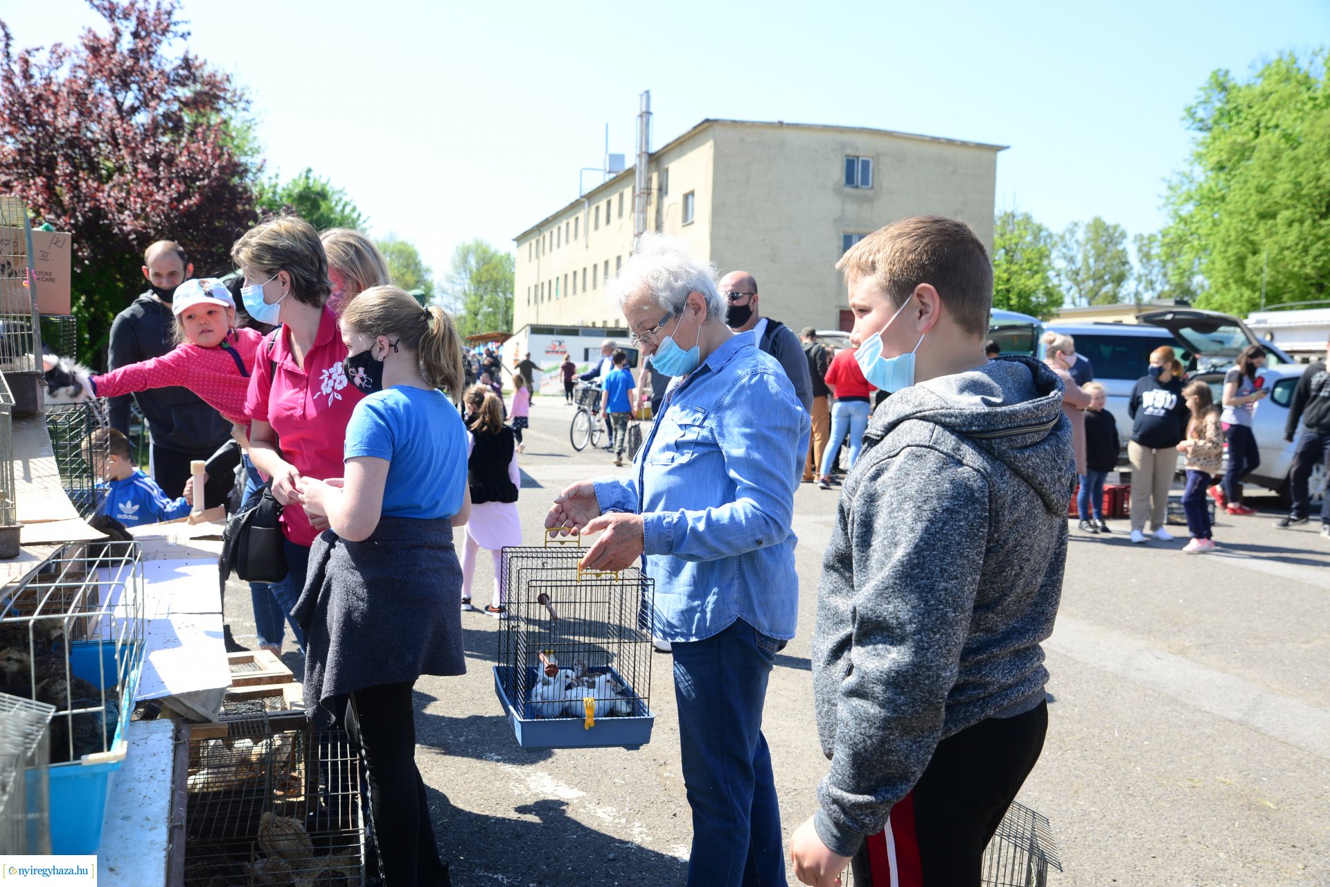 Kisállatbörze a Fokos utcai piacon 2021