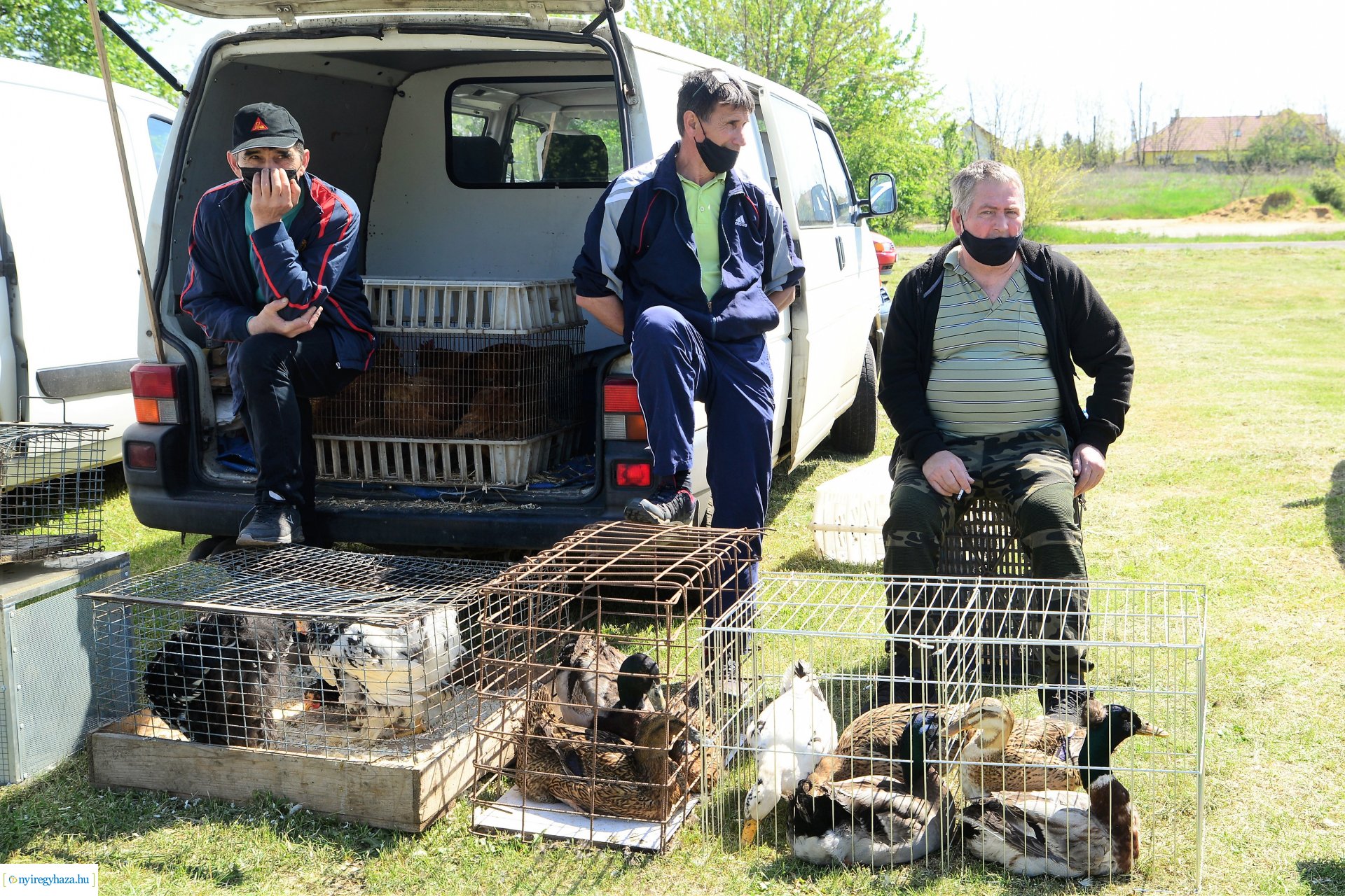 Kisállatbörze a Fokos utcai piacon 2021