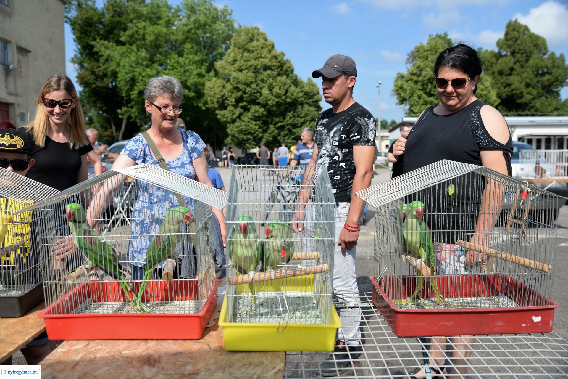 Kisállatbörze a Fokos utcai piacon