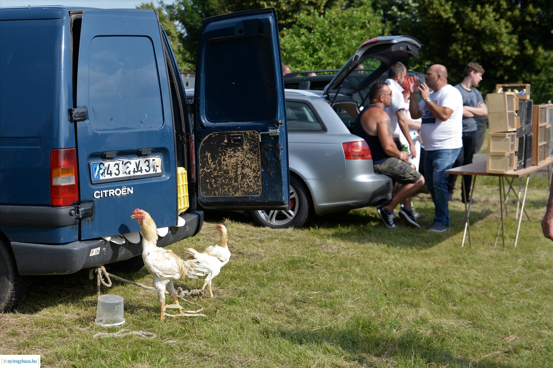 Kisállatbörze a Fokos utcai piacon