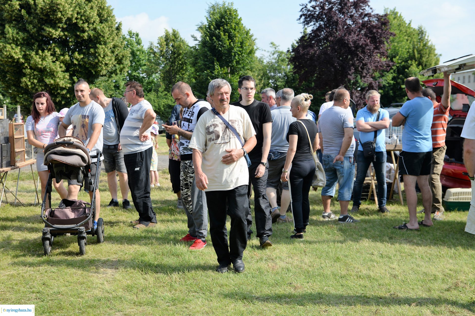 Kisállatbörze a Fokos utcai piacon