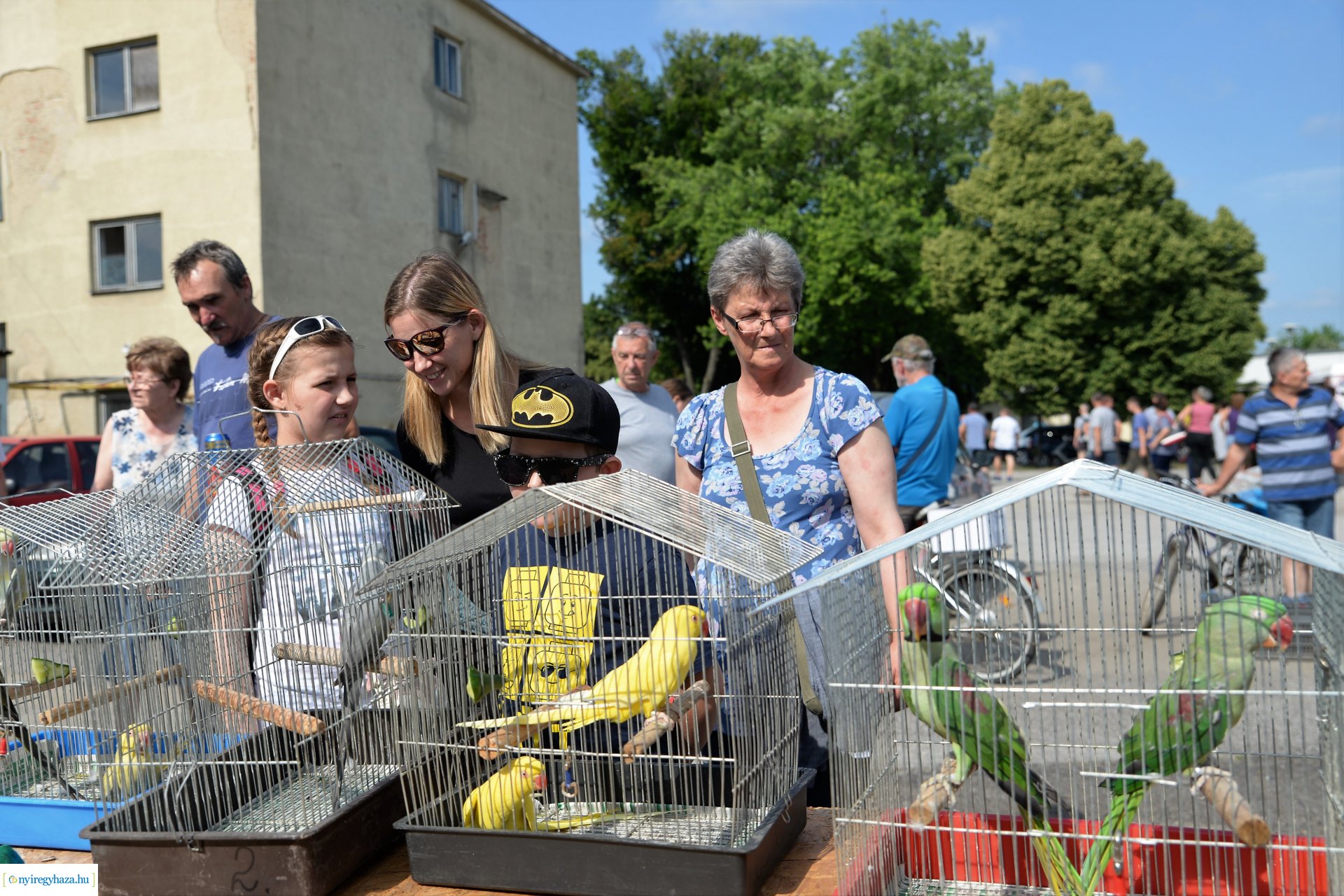 Kisállatbörze a Fokos utcai piacon