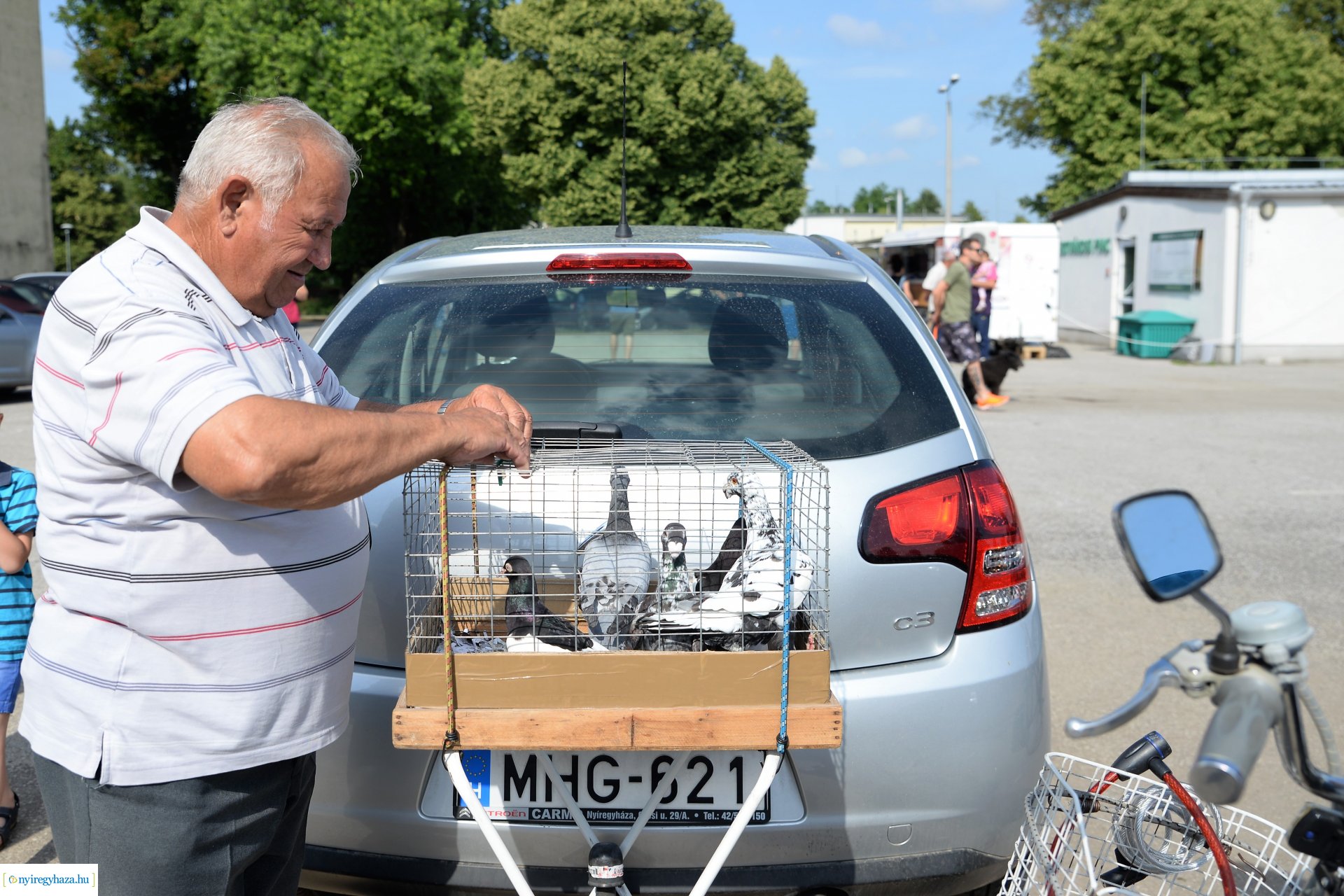 Kisállatbörze a Fokos utcai piacon