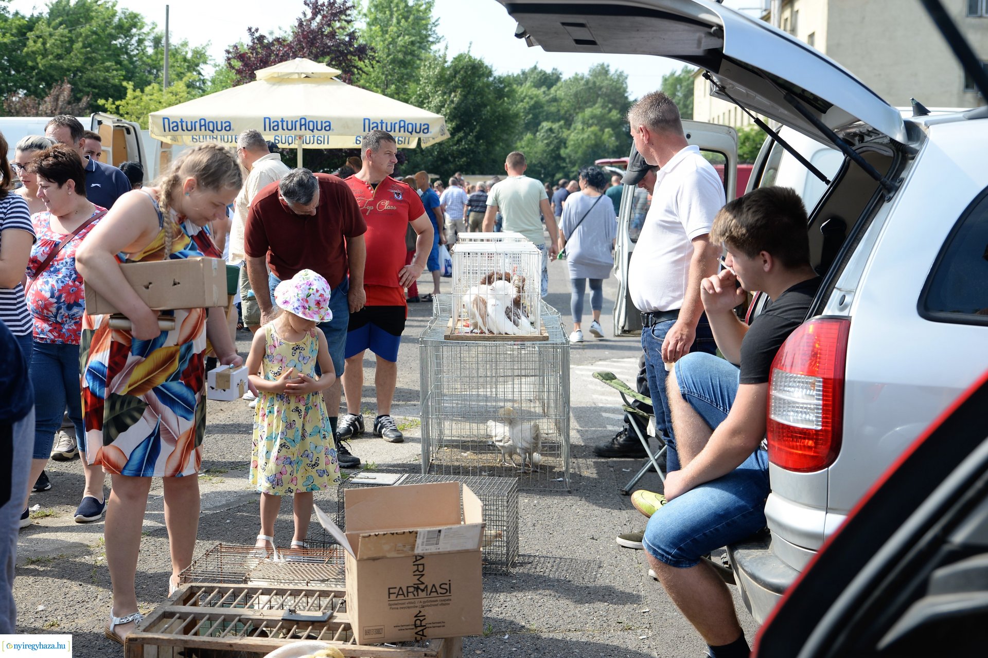 Kisállatbörze a Fokos utcai piacon