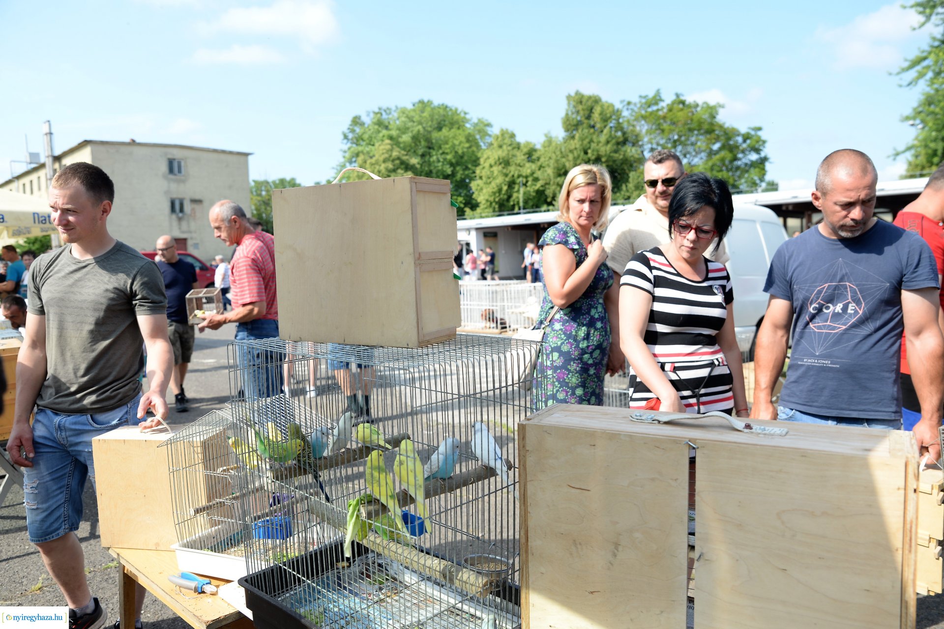 Kisállatbörze a Fokos utcai piacon