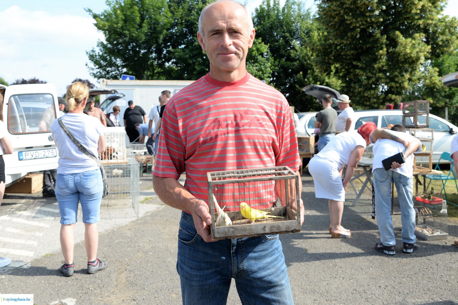 Kisállatbörze a Fokos utcai piacon