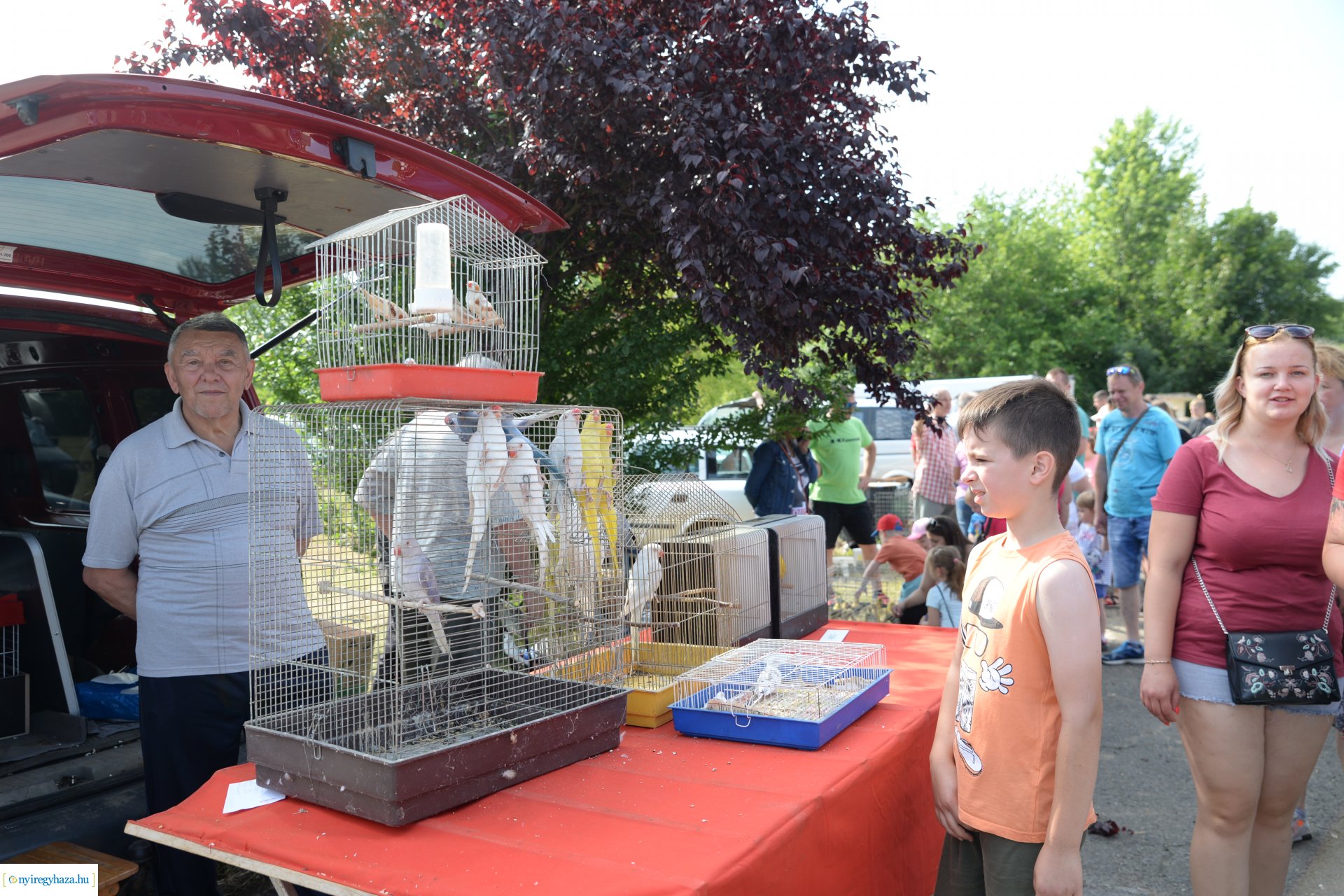 Kisállatbörze a Fokos utcai piacon