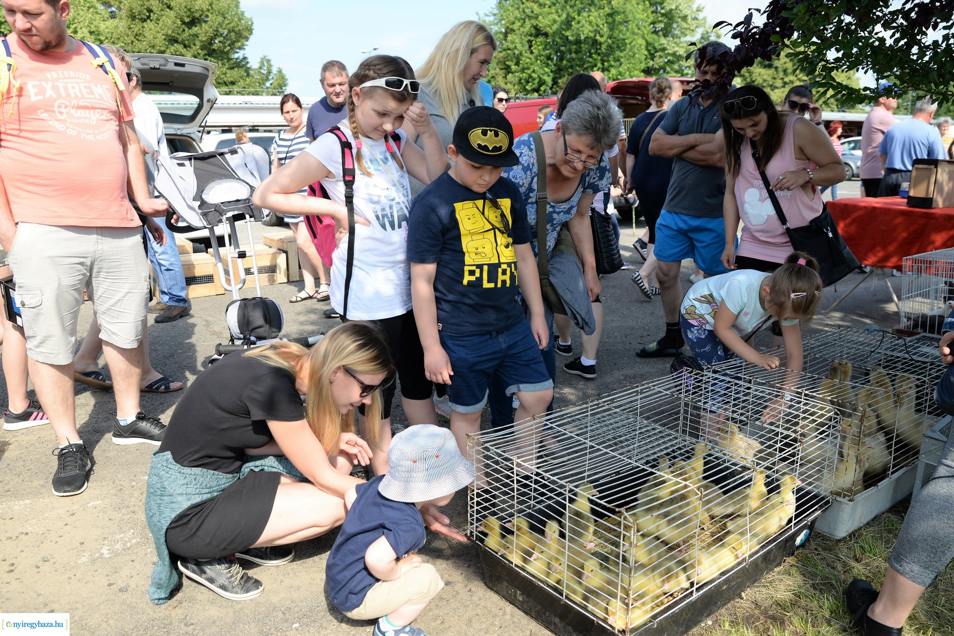 Kisállatbörze a Fokos utcai piacon