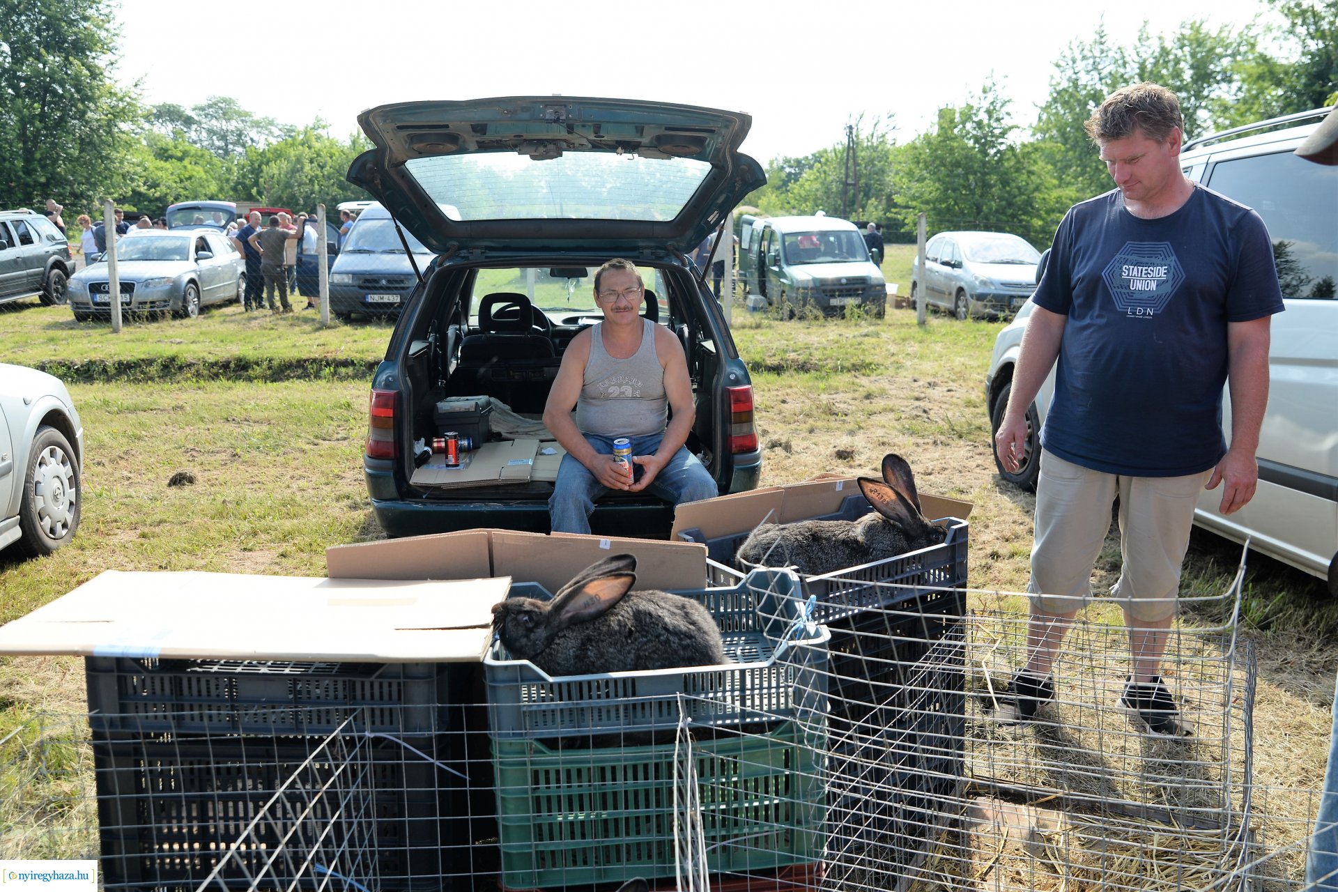 Kisállatbörze a Fokos utcai piacon