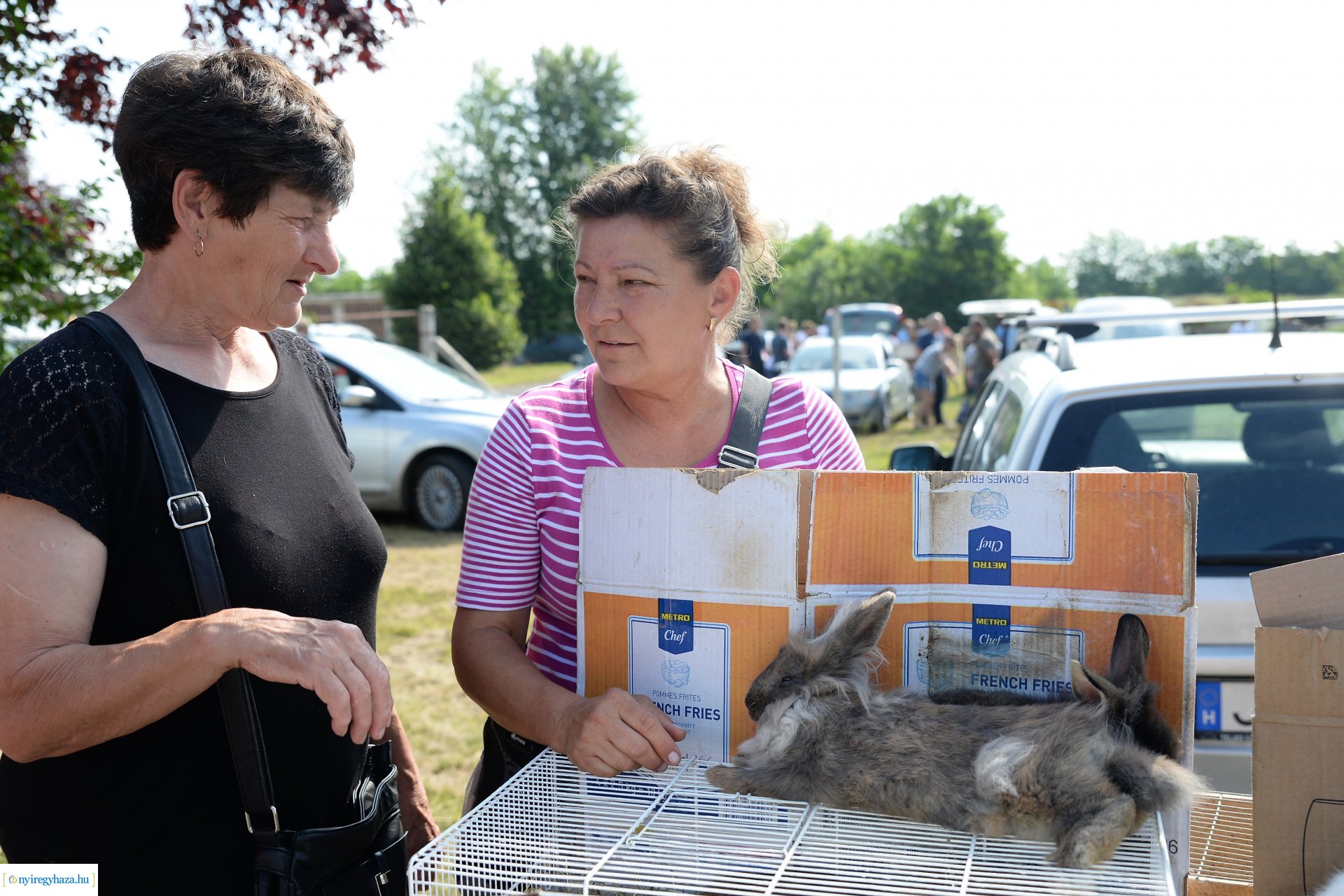 Kisállatbörze a Fokos utcai piacon