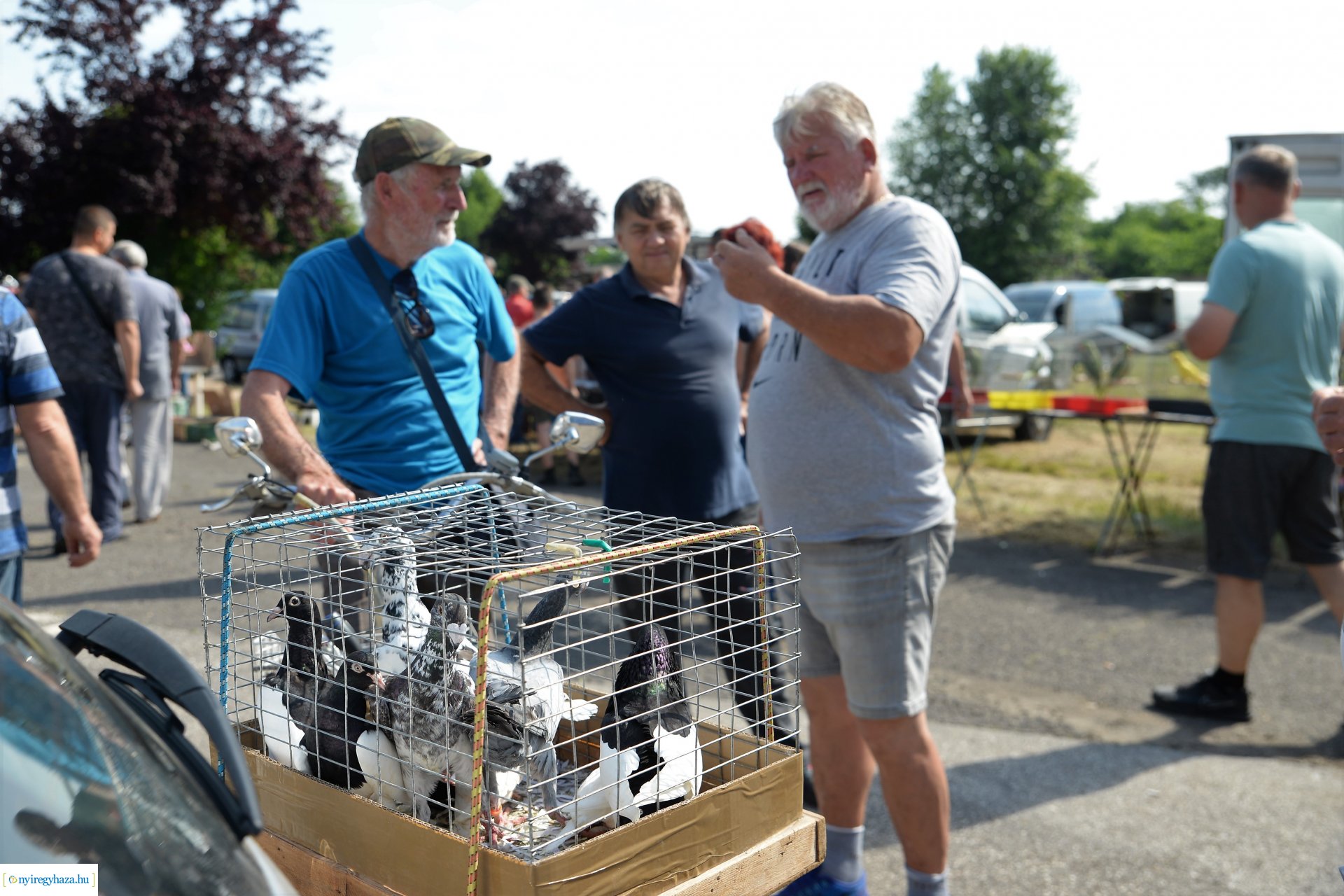 Kisállatbörze a Fokos utcai piacon