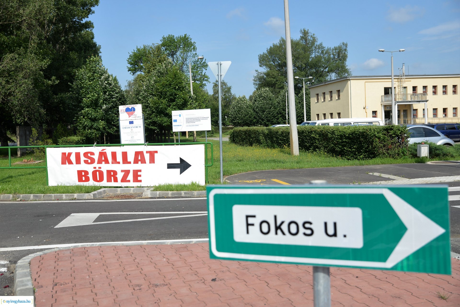 Kisállatbörze a Fokos utcai piacon