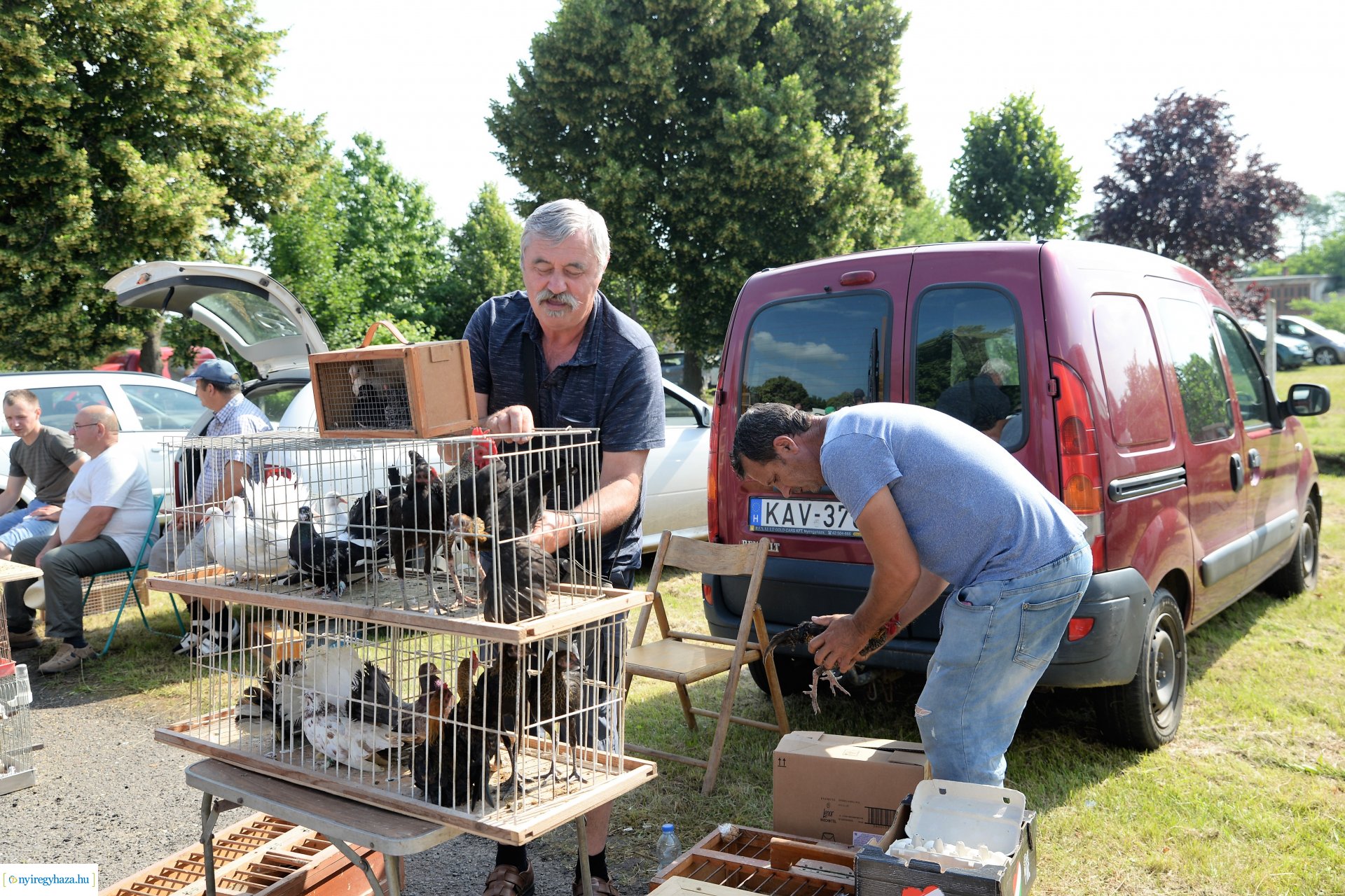 Kisállatbörze a Fokos utcai piacon