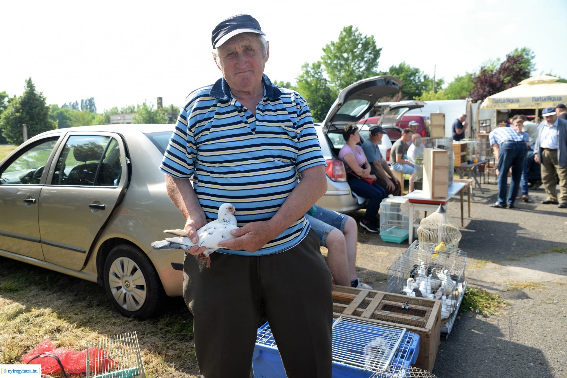 Kisállatbörze a Fokos utcai piacon