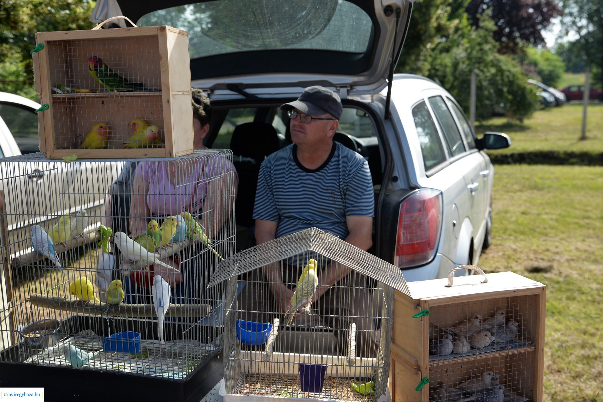 Kisállatbörze a Fokos utcai piacon