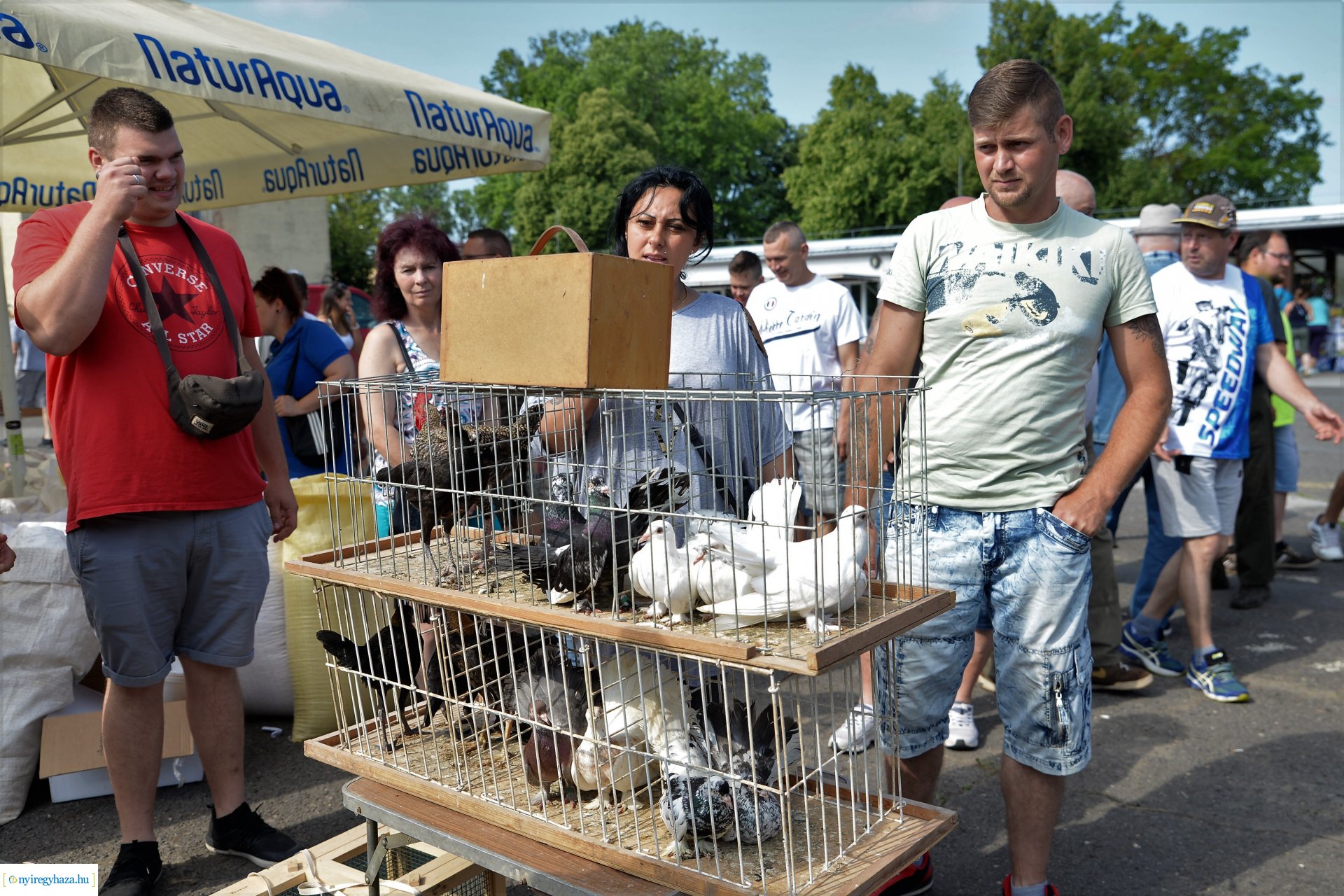 Kisállatbörze a Fokos utcai piacon