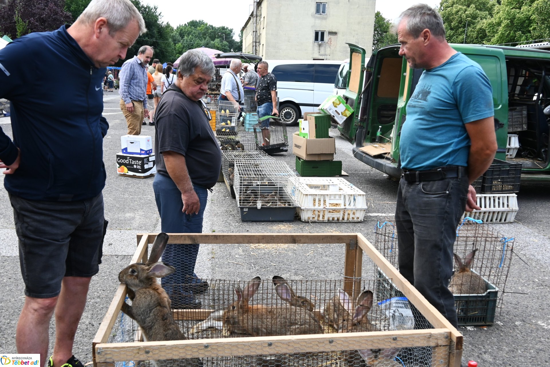 Kisállatvásár a Kertvárosi Piacon