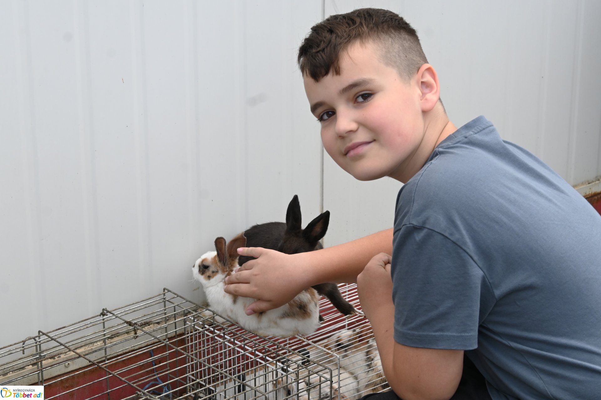 Kisállatvásár a Kertvárosi Piacon