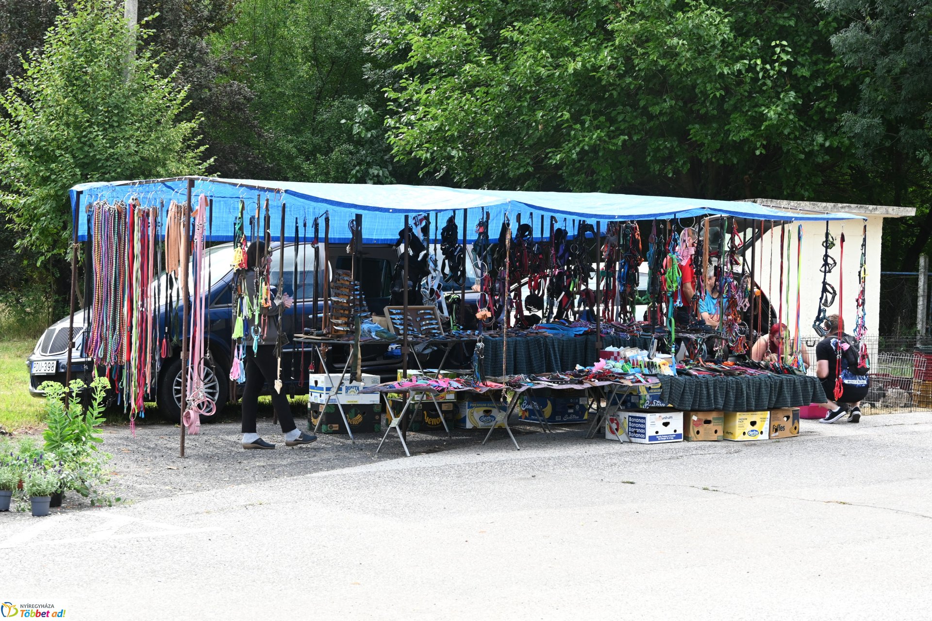 Kisállatvásár a Kertvárosi Piacon