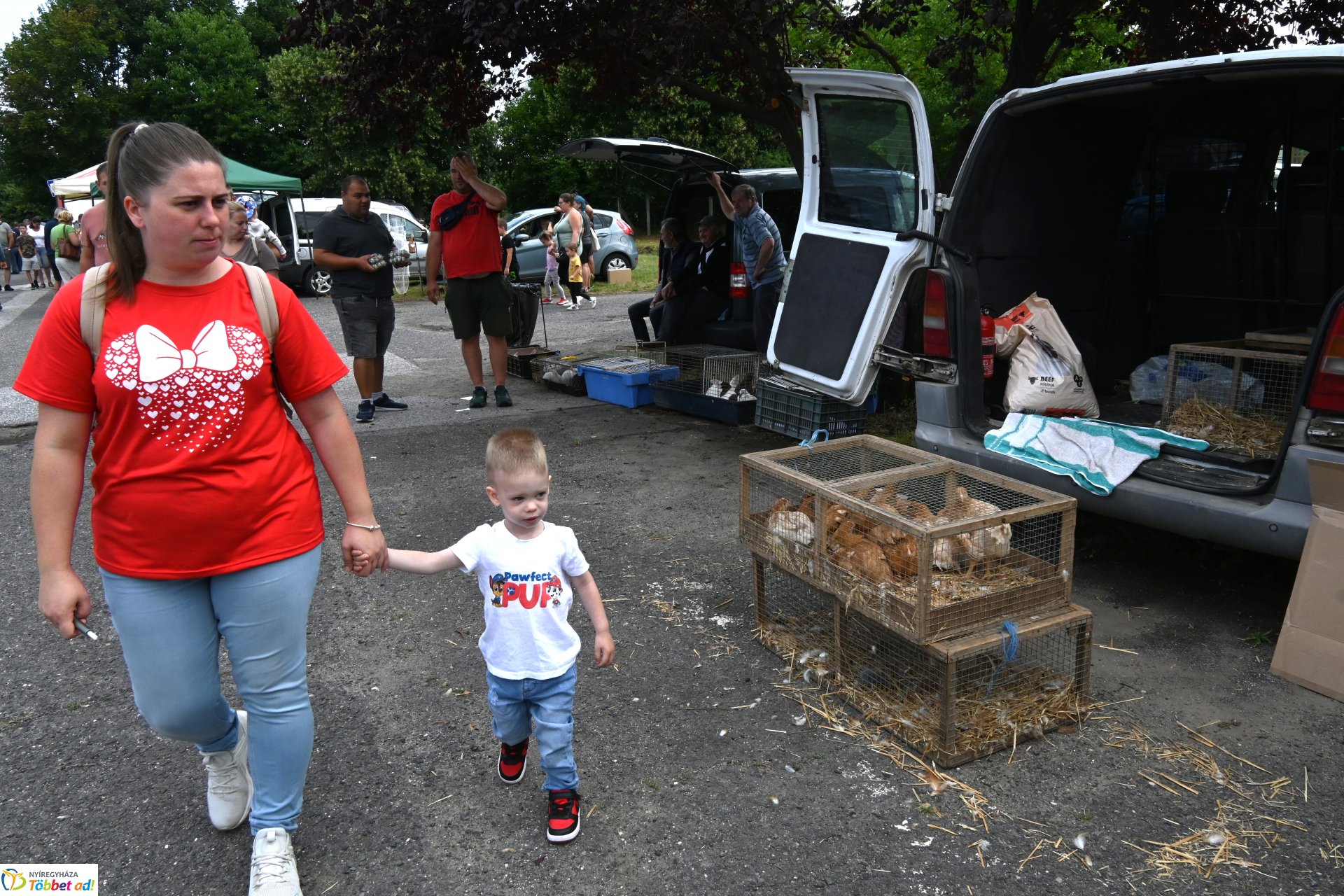 Kisállatvásár a Kertvárosi Piacon