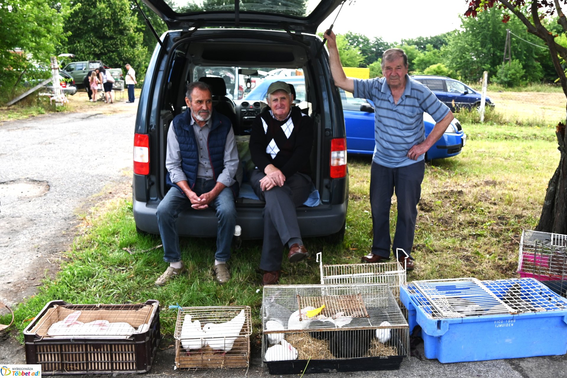 Kisállatvásár a Kertvárosi Piacon