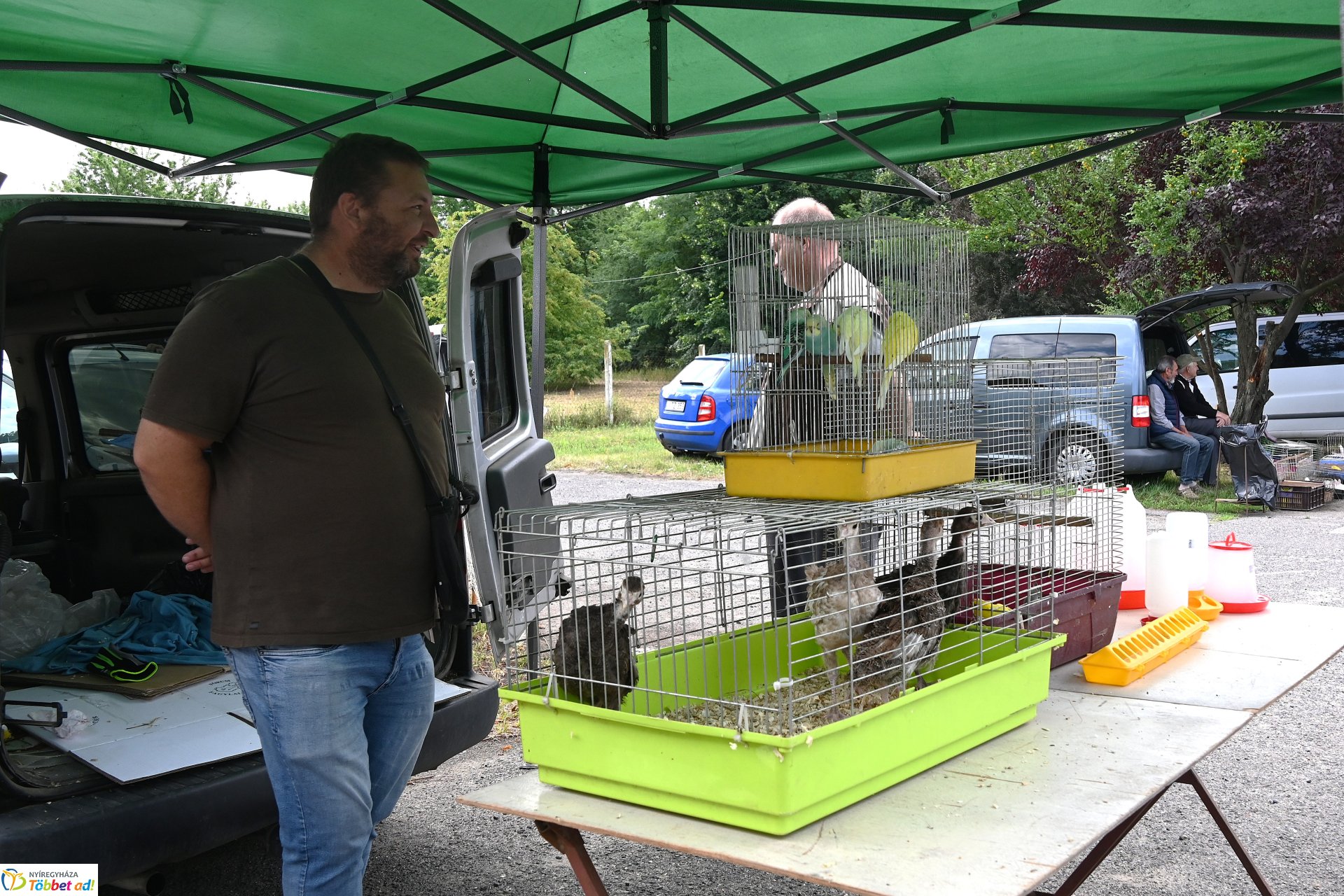 Kisállatvásár a Kertvárosi Piacon