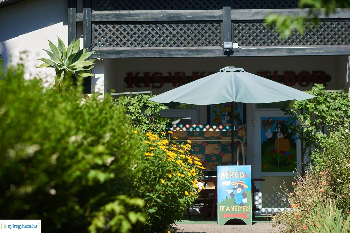 Kisvakond nyári tábor 2020