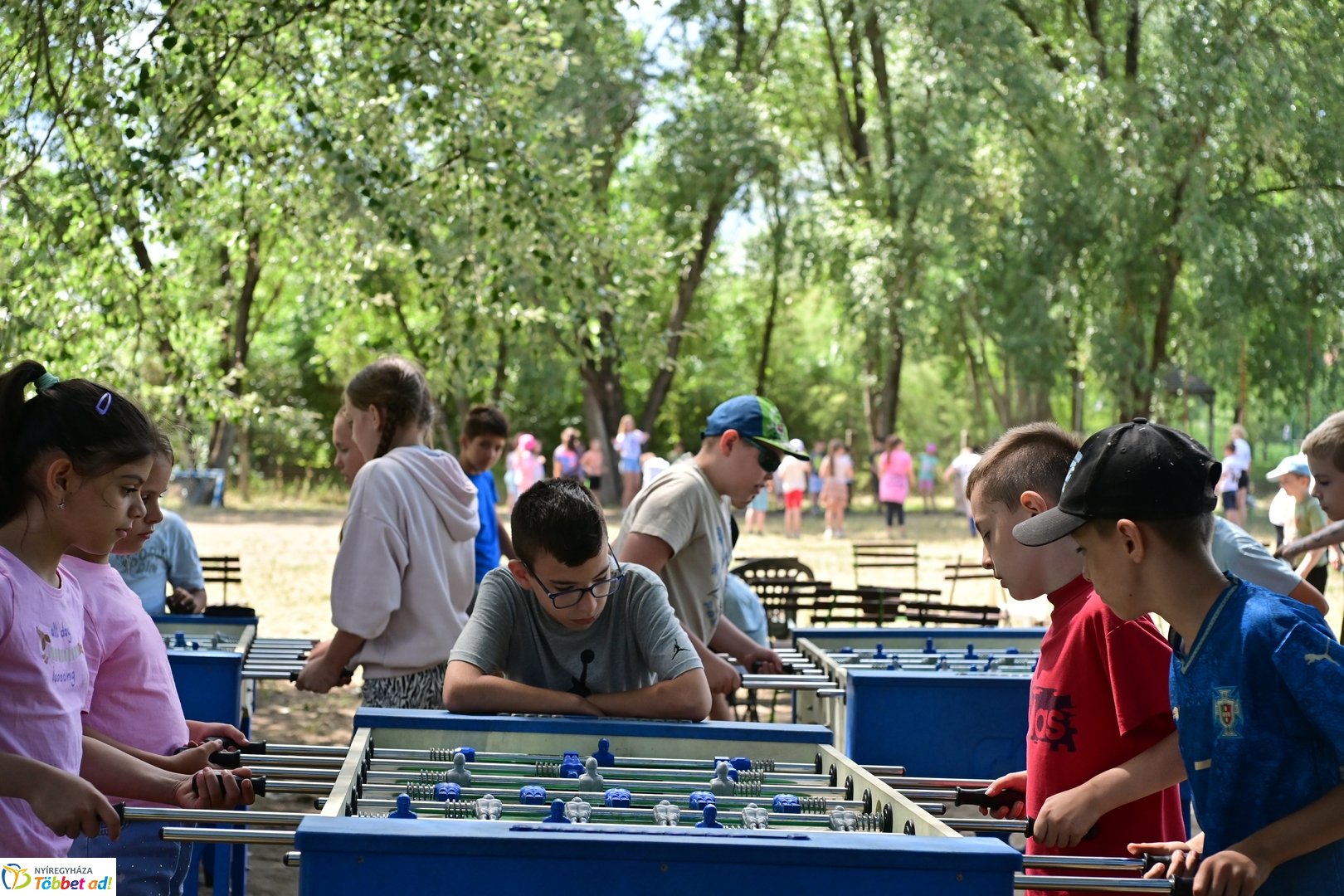 Kisvakond tábor - 2026