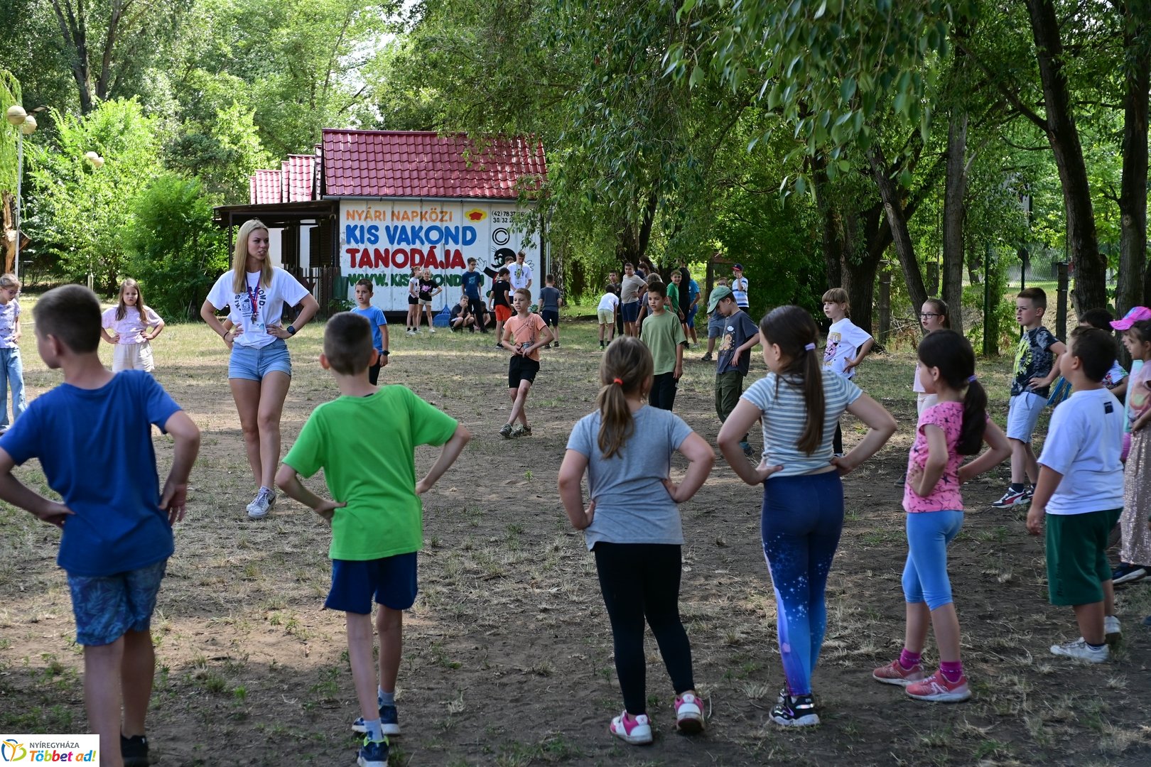 Kisvakond tábor - 2026