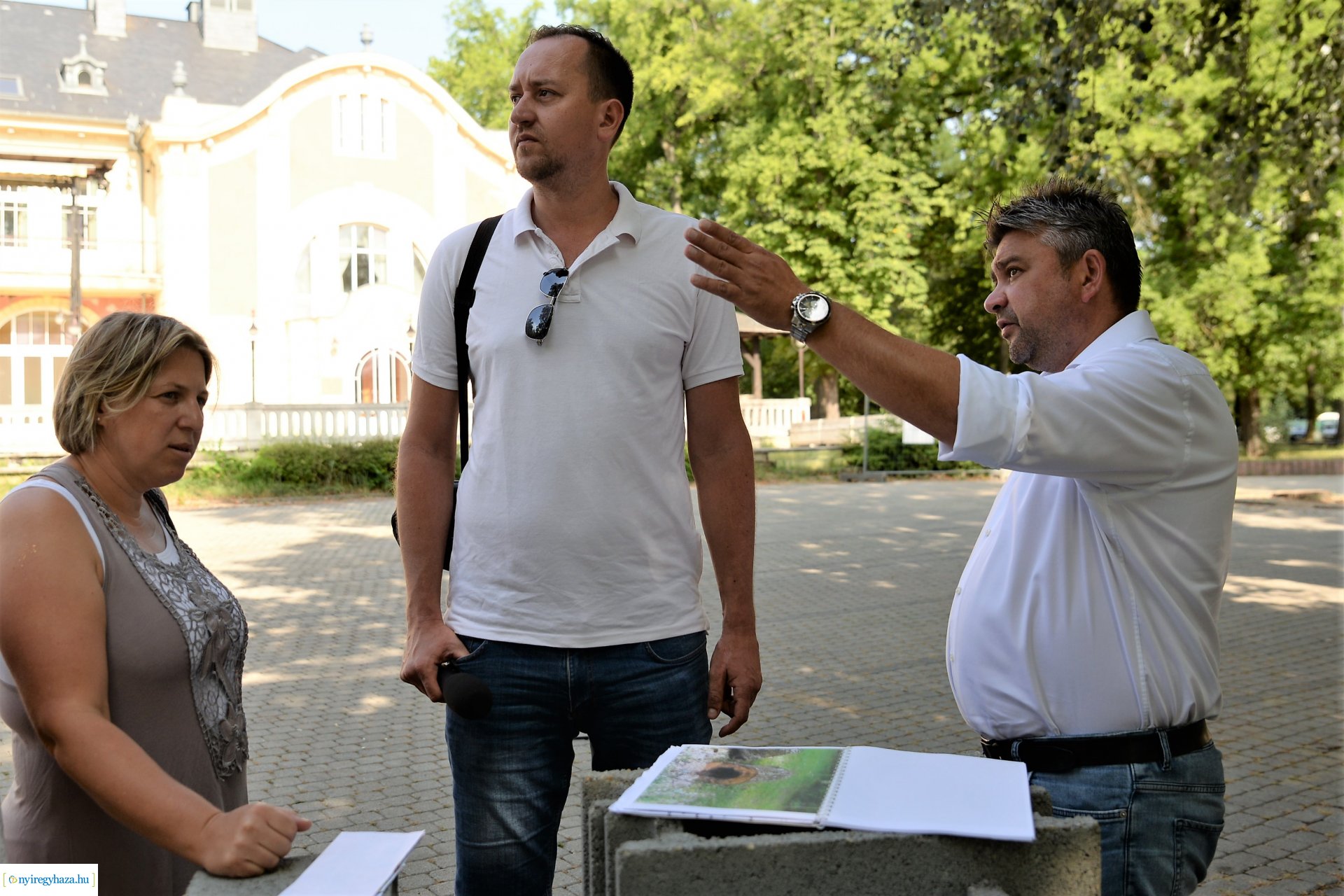 Kivágják a veszélyes fákat Sóstón