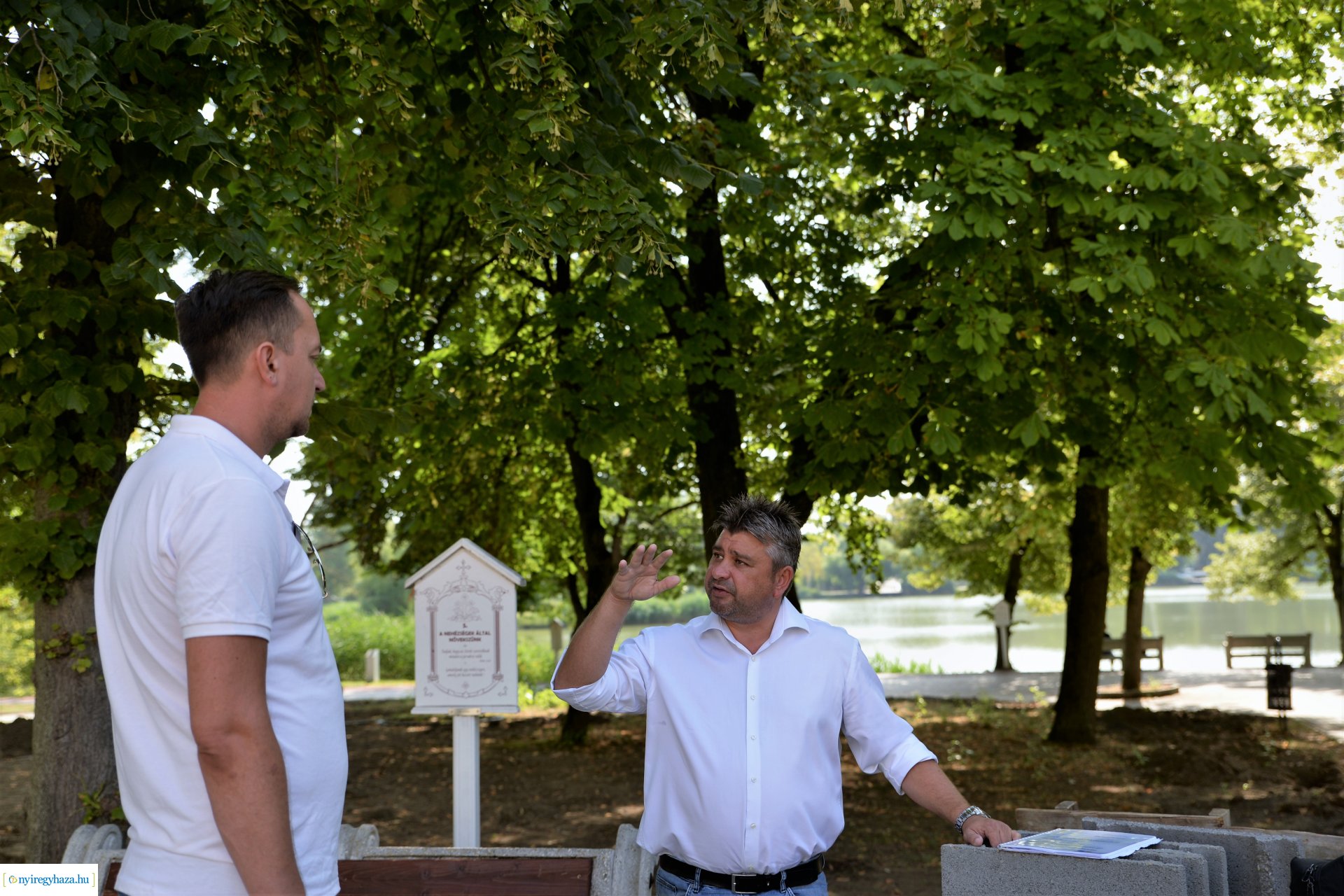 Kivágják a veszélyes fákat Sóstón